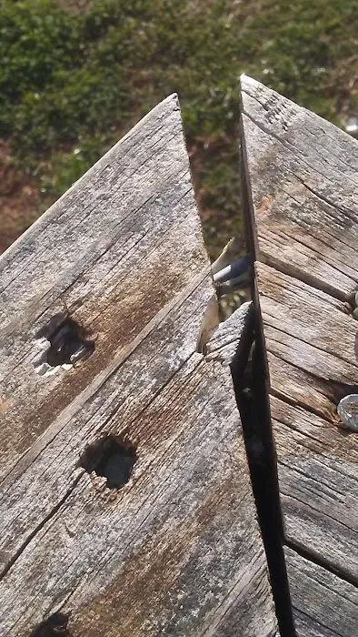 Pine Ridge Mobile Home Park application Picture 2