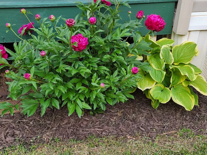 Kingsbrook Estates Picture 6