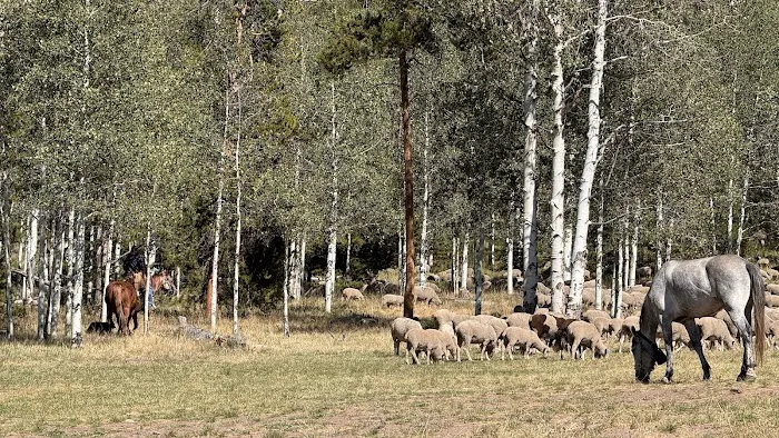 Christmas Meadows Campground Picture 3