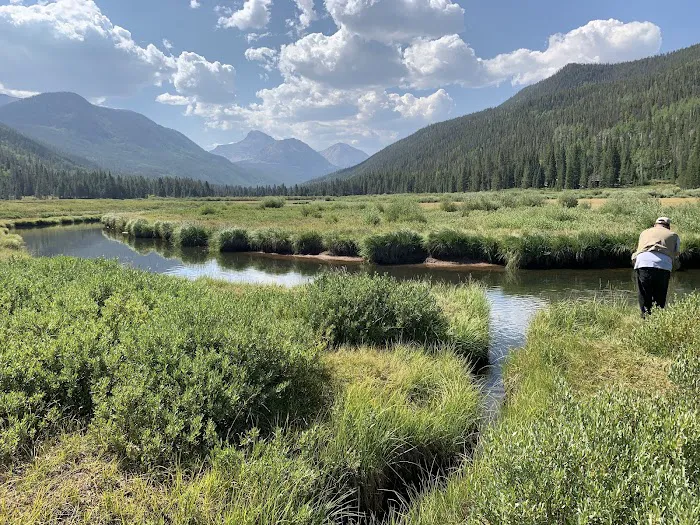 Wolverine ATV Trailhead Campground Picture 4