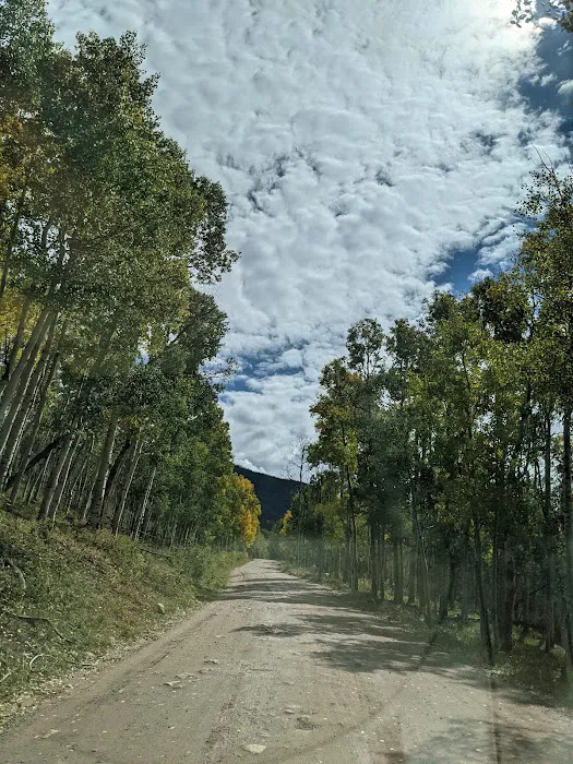 Wolverine ATV Trailhead Campground Picture 1