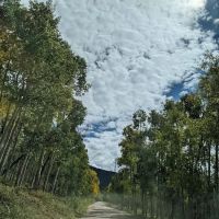 Wolverine ATV Trailhead Campground ico