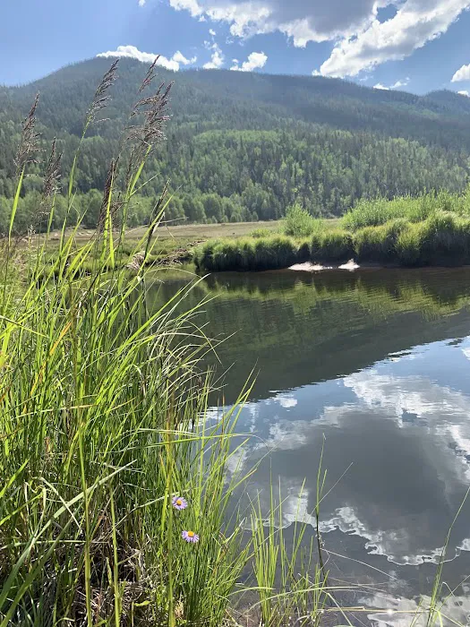 Wolverine ATV Trailhead Campground Picture 5