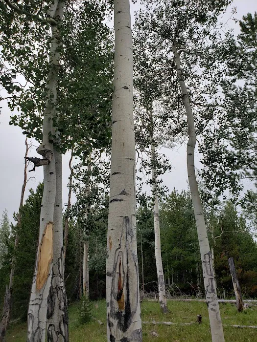 Stillwater Campground Picture 10