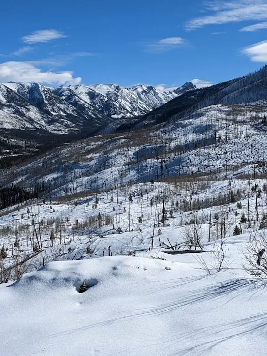 Ridge Yurt Picture 1