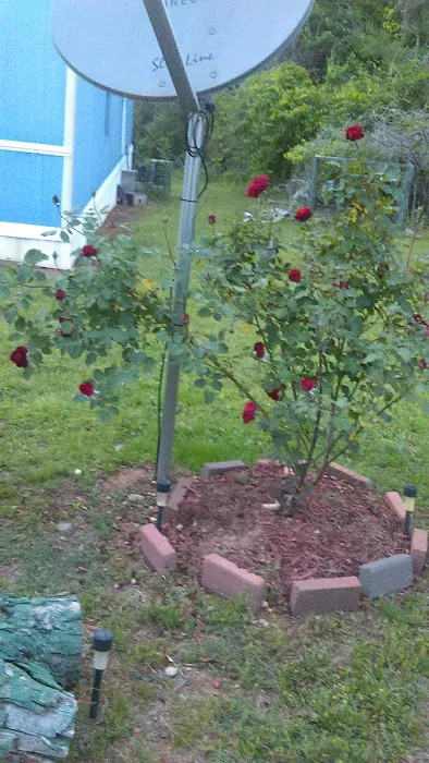 Lawrence Properties Picture 8