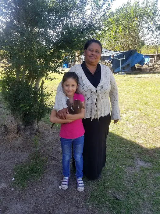 Lawrence Properties Picture 9