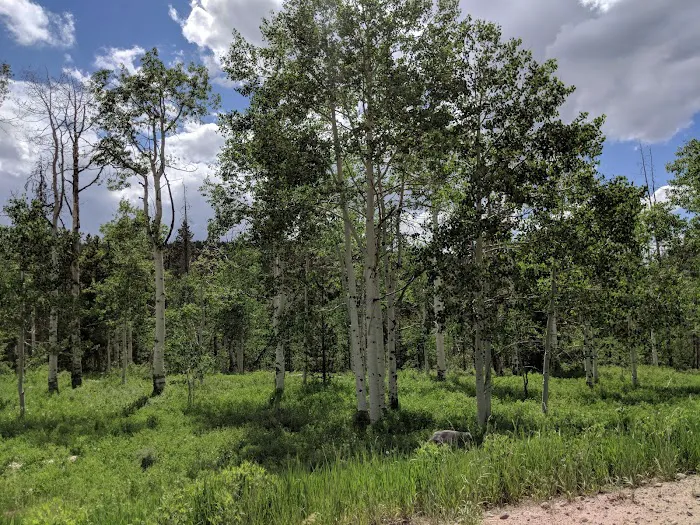 Hinckley Scout Ranch Picture 3