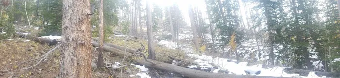 East Fork Scout Camp Picture 4