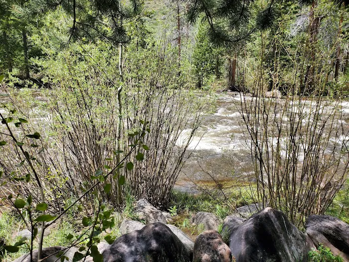 Bear River Campground Picture 10