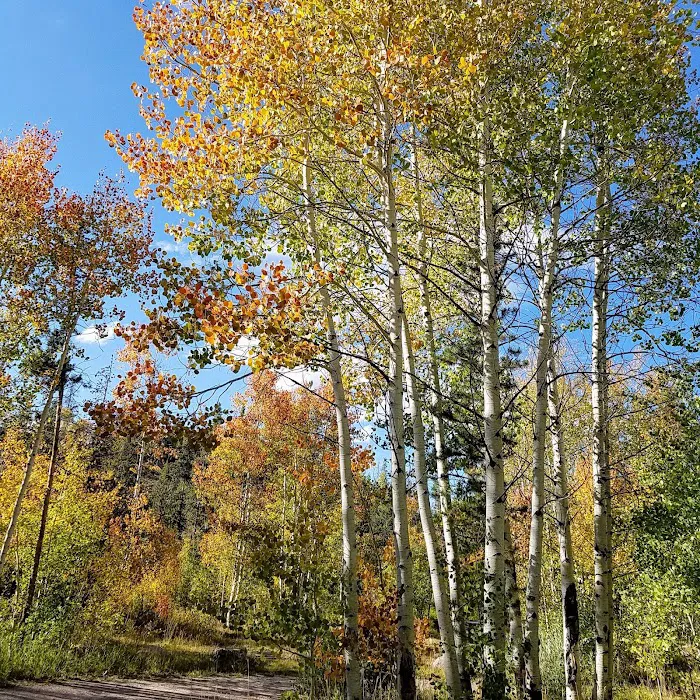 Bear River Campground Picture 3