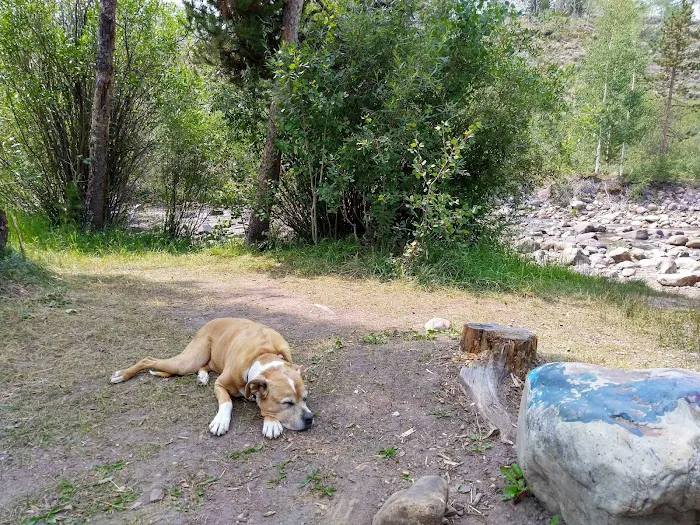 Bear River Campground Picture 1