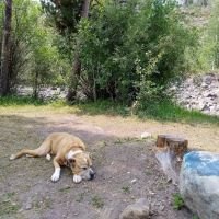 Bear River Campground ico