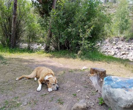 Bear River Campground