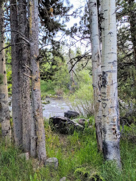 Bear River Campground Picture 5