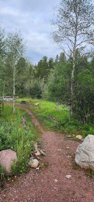 East Fork Bear River Campground Picture 3