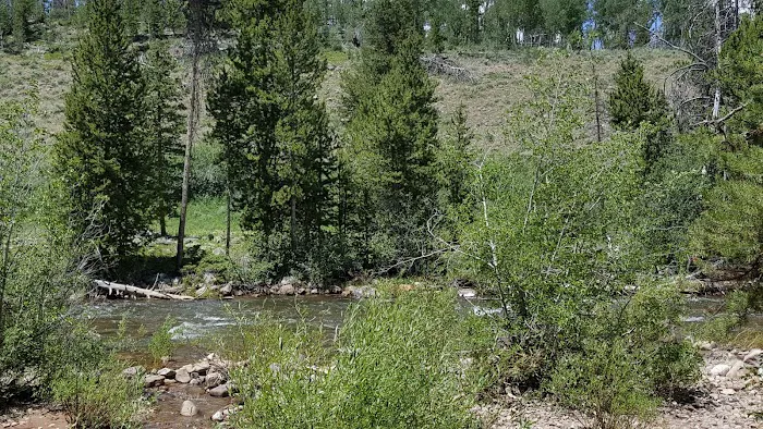 East Fork Bear River Campground Picture 9
