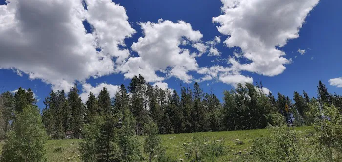 East Fork Bear River Campground Picture 5