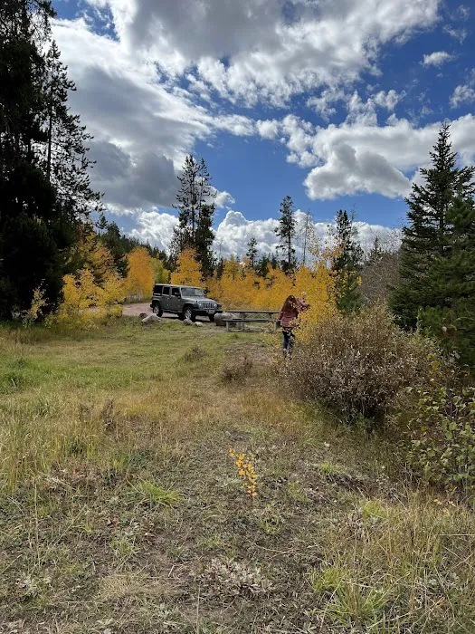 East Fork Bear River Campground Picture 10
