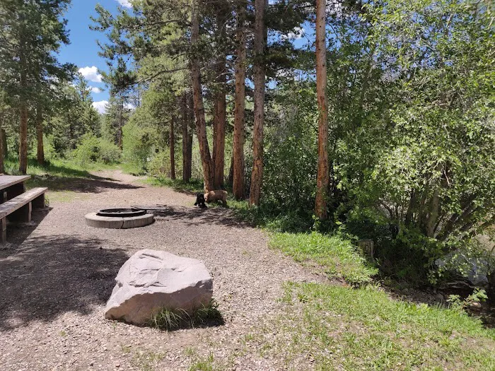 East Fork Bear River Campground Picture 4