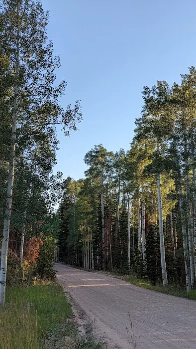 Carter Creek USAF Camp Picture 9