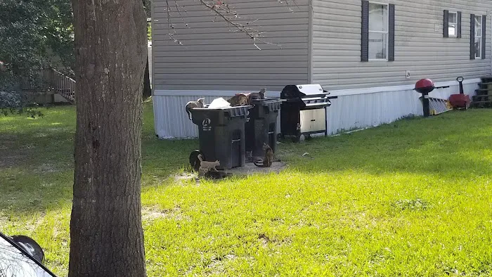 Avalon (GA) Picture 8