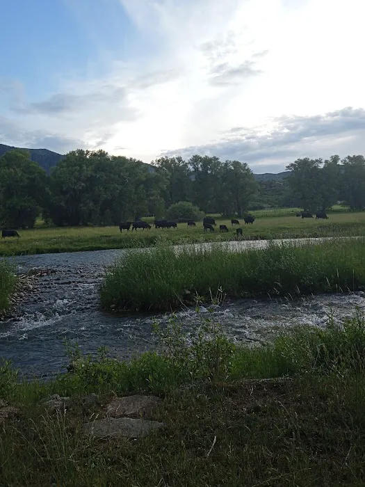 Over The Hill RV Park Picture 7