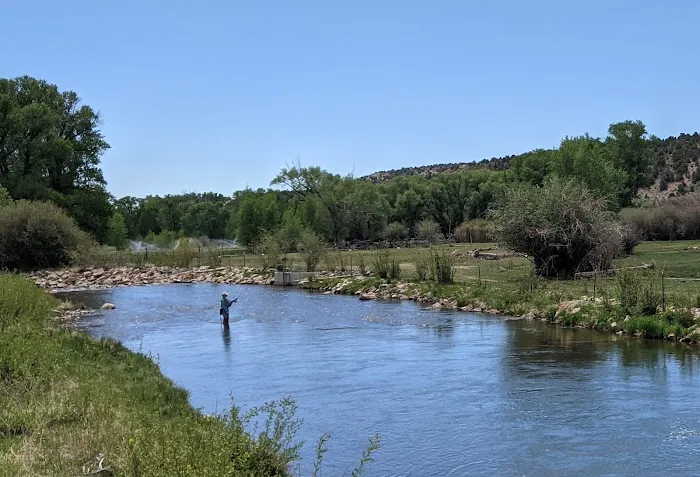 Over The Hill RV Park Picture 6