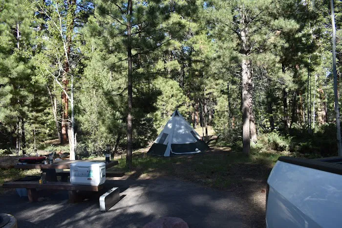 Yellowpine Campground Picture 2