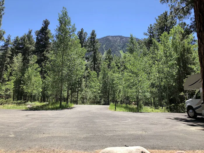 Yellowpine Campground Picture 1