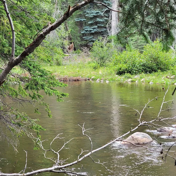 Yellowpine Campground Picture 4