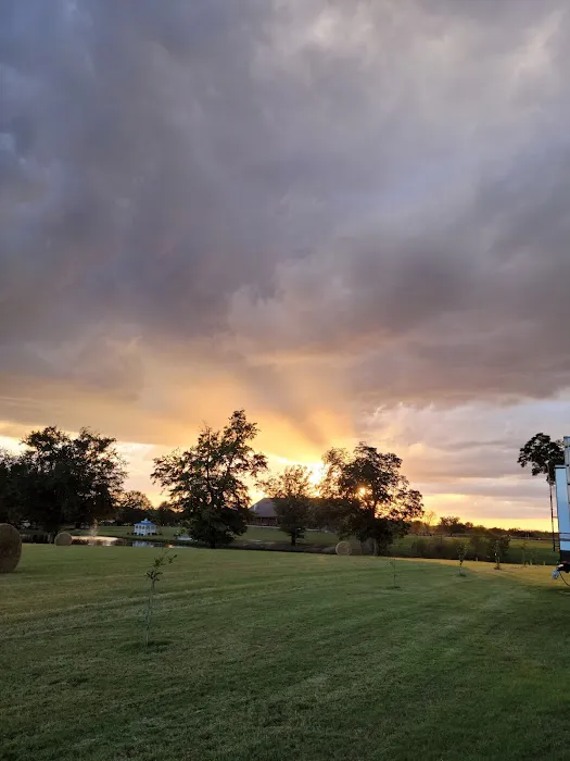 Al Sihah Shrine RV Park Picture 3