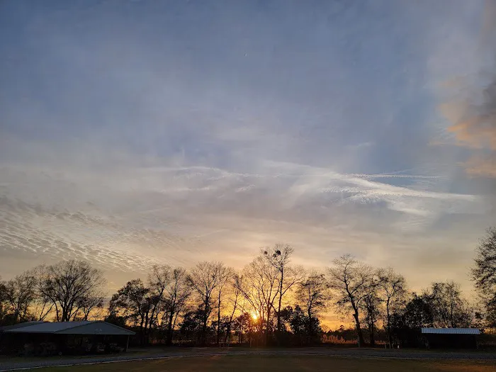 Al Sihah Shrine RV Park Picture 6