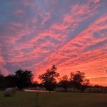 Al Sihah Shrine RV Park