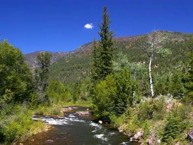 Miners Gulch Group Campground Picture 4