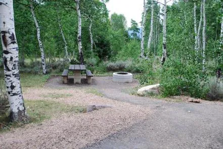 Miners Gulch Group Campground Picture 3