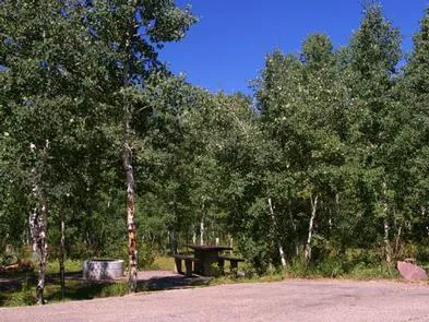 Miners Gulch Group Campground Picture 2