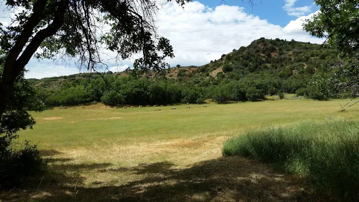 Old Pinery Recreation Camp Picture 1