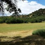 Old Pinery Recreation Camp