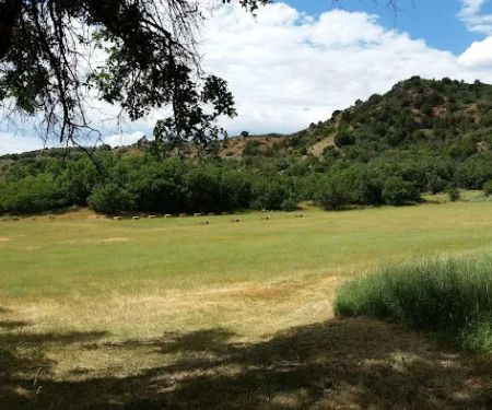 Old Pinery Recreation Camp