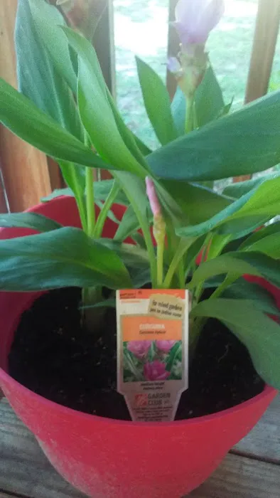 Sunnyland MHP Picture 8