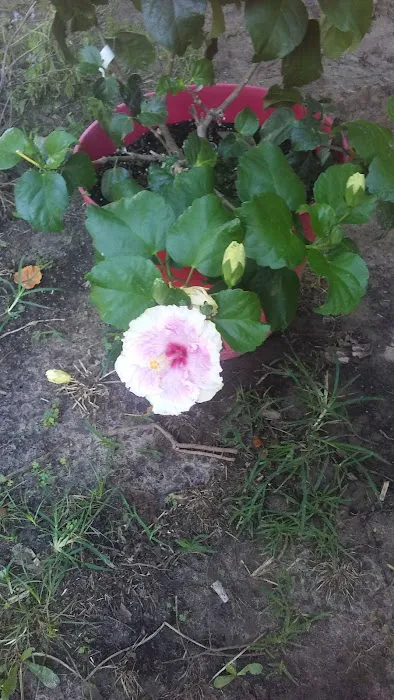 Sunnyland MHP Picture 7