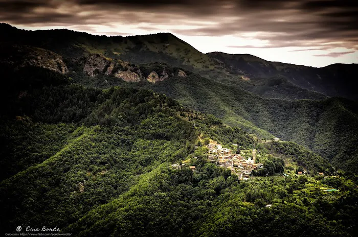 North Park Manor Picture 3