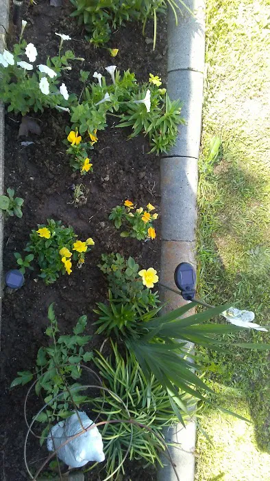 North Park Manor Picture 1