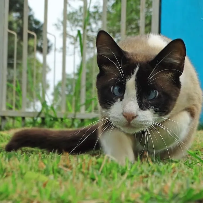 North Park Manor Picture 4