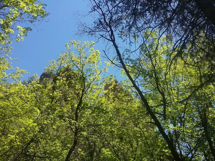 Maple Canyon Campground Picture 9