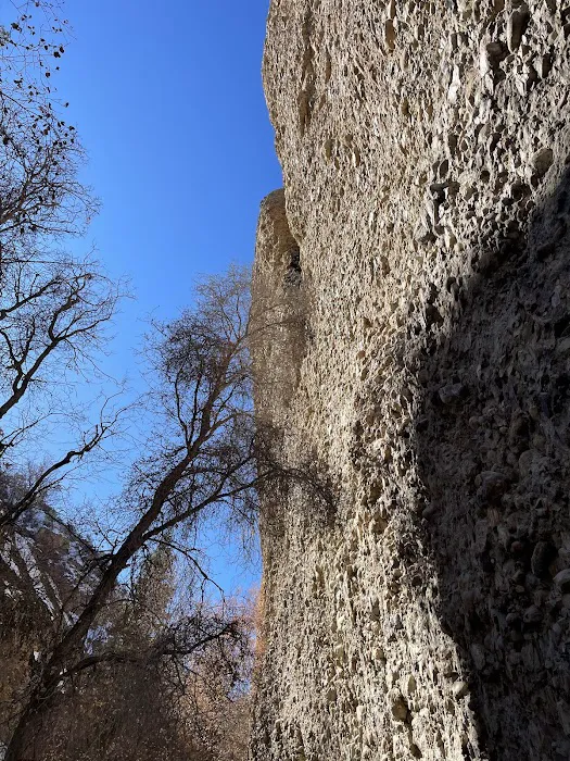 Maple Canyon Campground Picture 5