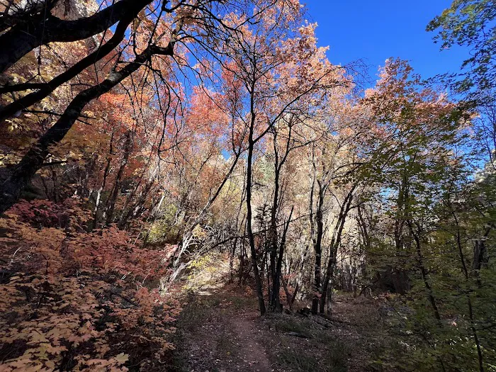 Maple Canyon Campground Picture 10