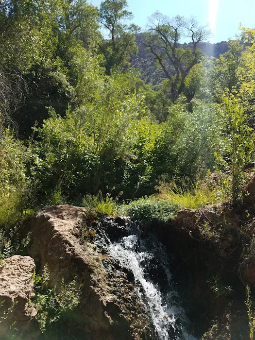 Chicken Creek Campground Picture 2