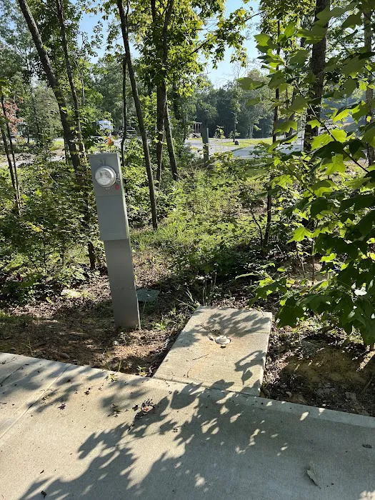 Diamond Acres Luxury RV Resort Picture 5